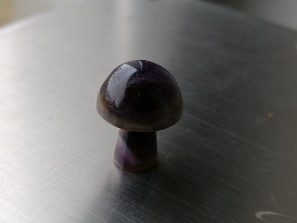 IMG_20240209_130509-scaled-1.jpg Champignon Améthyste