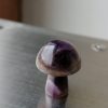 IMG_20240209_130520-1-scaled-1.jpg Champignon Améthyste