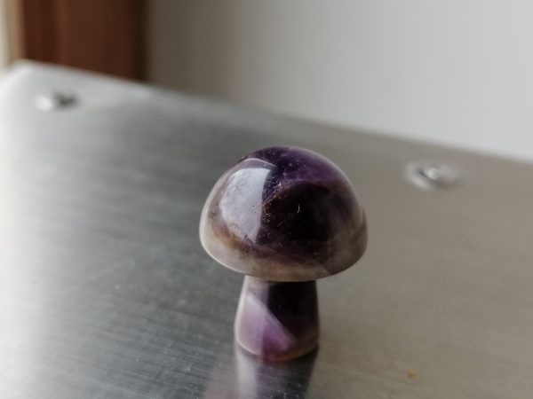 IMG_20240209_130520-1-scaled-1.jpg Champignon Améthyste