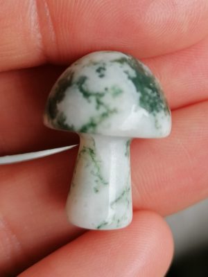 Champignon Agate Arbre