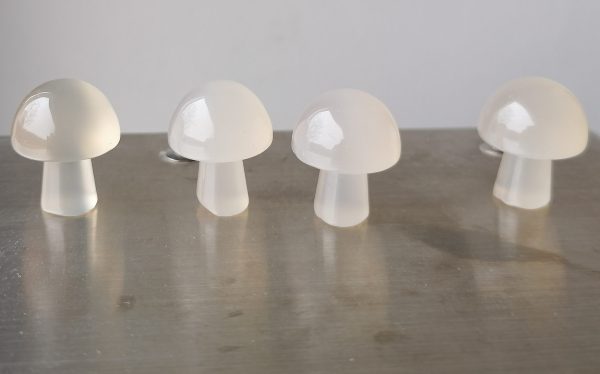 Champignon Calcédoine