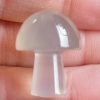 Champignon Calcédoine