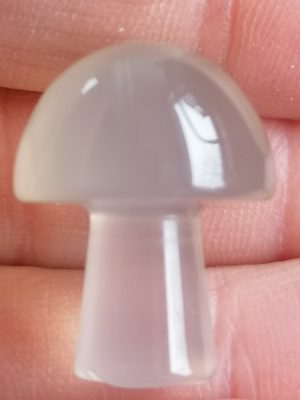 Champignon Calcédoine