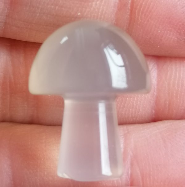 Champignon Calcédoine