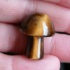 oznorMB Champignon Œil de Tigre