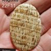 Aragonite
