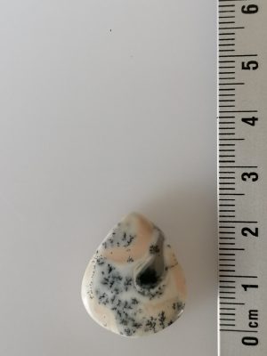 Agate Dentritique