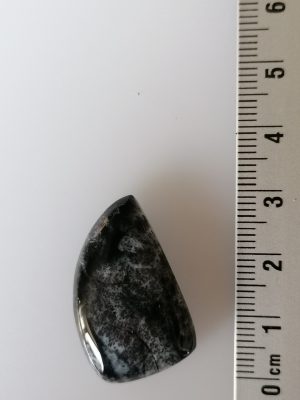 Agate Dentritique