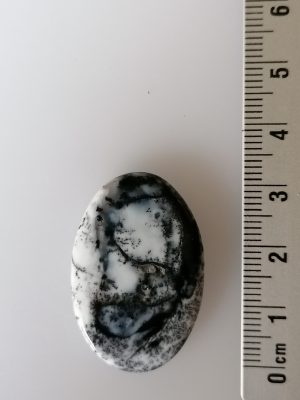Agate Dentritique