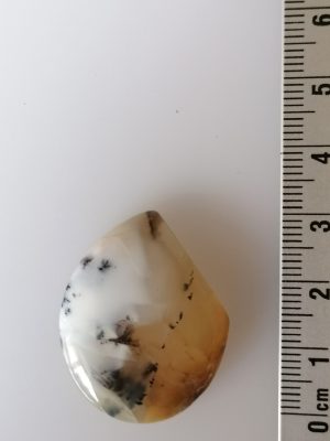Agate Dentritique