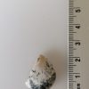Agate Dentritique