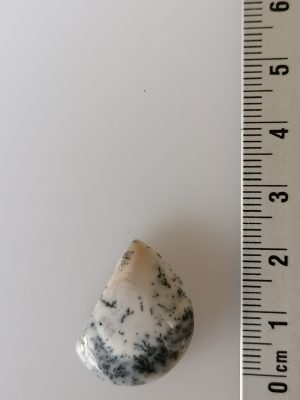 Agate Dentritique
