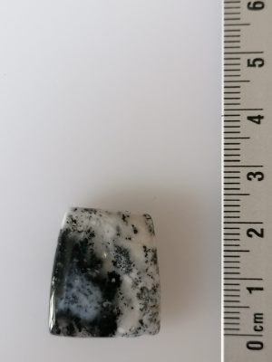 Agate Dentritique