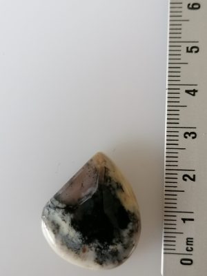 Agate Dentritique