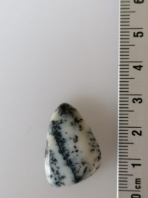 Agate Dentritique