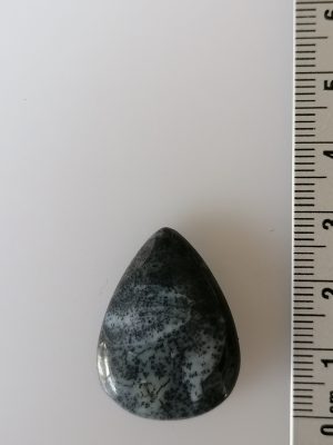 Agate Dentritique