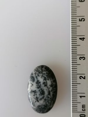 Agate Dentritique