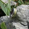 Bague Opale Verte