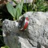 Bague  incrustation Jaspe Rouge