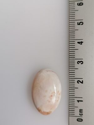 Scolécite Rose