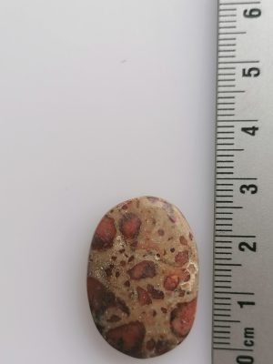 Jaspe Conglomérat Léopardite