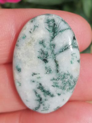 Agate Arbre