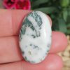 agate arbre