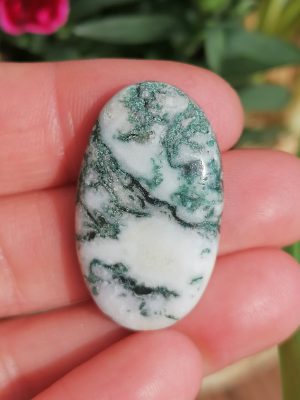 Agate Arbre