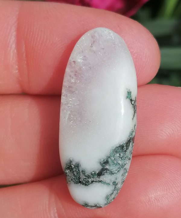 oznorMB Agate Arbre