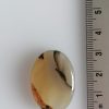 Agate Montana