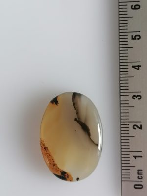Agate Montana