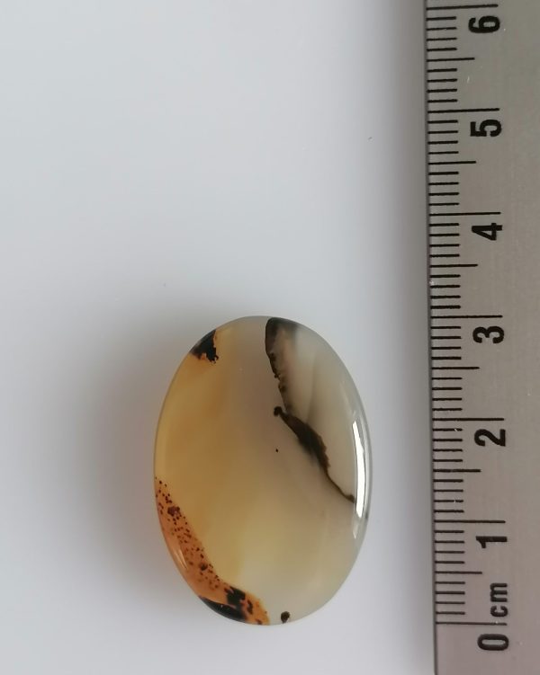 Agate Montana