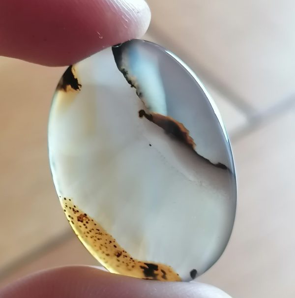 Agate Montana