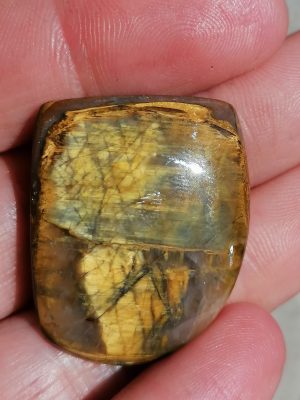nellite