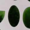 oznorMB Serpentine