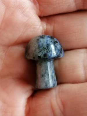 Champignon  Sodalite