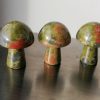 Unakite-3-scaled-1.jpg Champignon Unakite