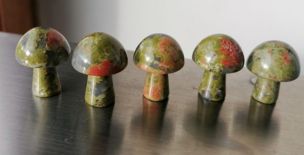 Unakite-3-scaled-1.jpg Champignon Unakite