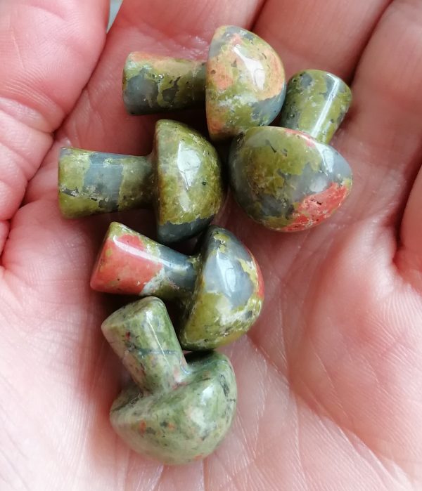Unakite-5.jpg Champignon Unakite