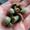 Unakite1.jpg Champignon Unakite