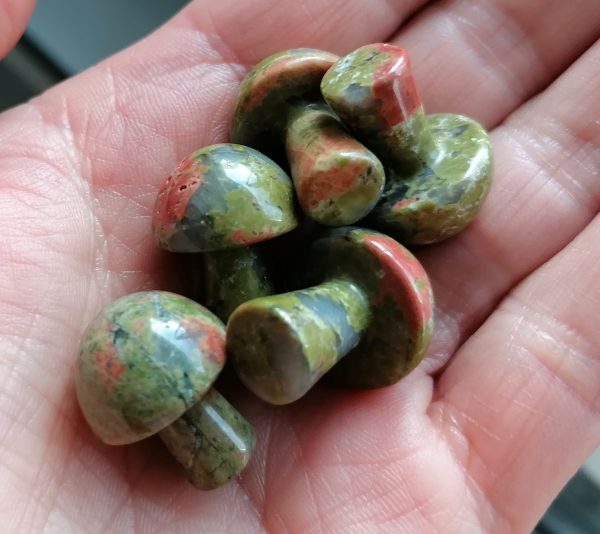 Unakite1.jpg Champignon Unakite
