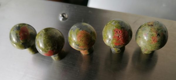 Unakite2-scaled-1.jpg Champignon Unakite