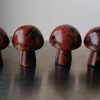 obsidienne-acajou-3-scaled-1.jpg Champignon Obsidienne Acajou