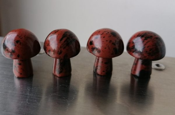 obsidienne-acajou-3-scaled-1.jpg Champignon Obsidienne Acajou