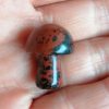 obsidienne-acajou-4.jpg Champignon Obsidienne Acajou