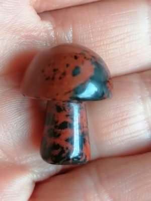 Champignon Obsidienne Acajou