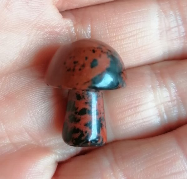 obsidienne-acajou-4.jpg Champignon Obsidienne Acajou