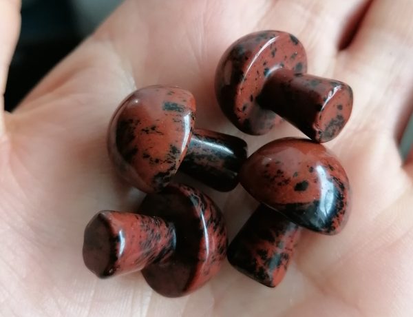 dav Champignon Obsidienne Acajou
