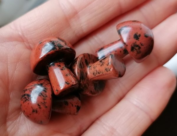 sdr Champignon Obsidienne Acajou