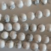 Perles Howlite